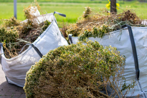 Best Local Junk Hauling  in Loogootee, IN